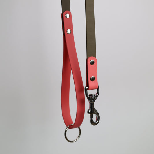 Laisse bicolore pour chien personnalisable en Biothane