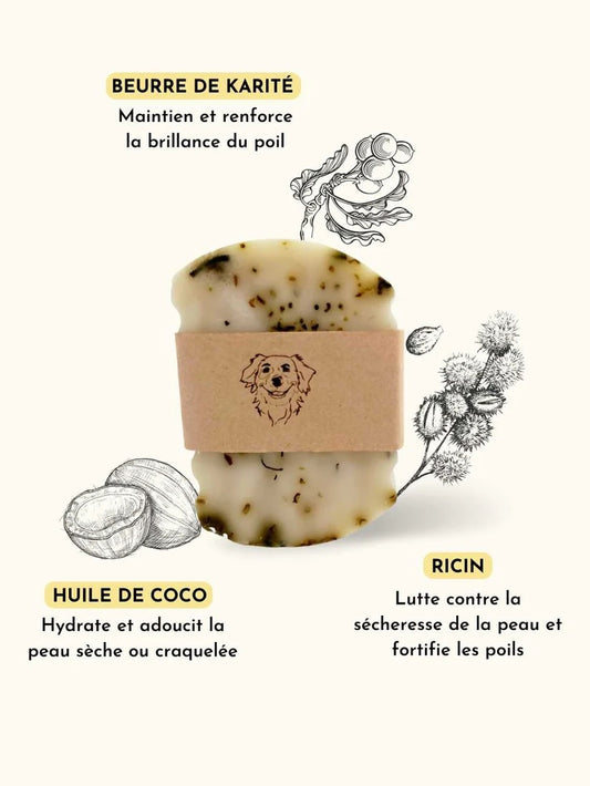 Shampoing poil soyeux