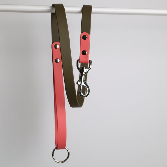 Laisse bicolore pour chien personnalisable en Biothane