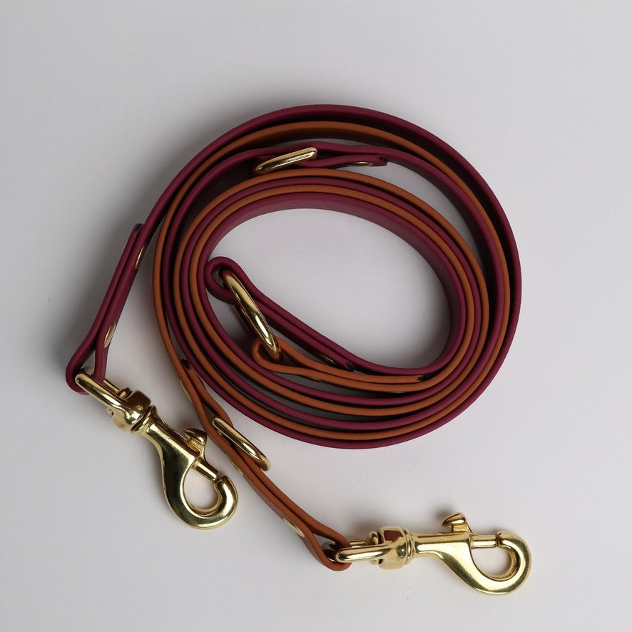 Laisse multiposition bicolore pour chien personnalisable en Biothane