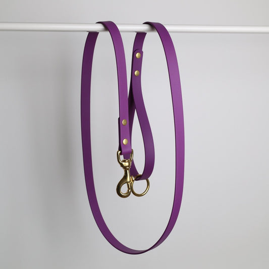 Laisse pour chien personnalisable en Biothane