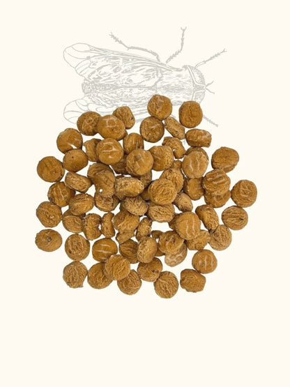 Friandises mouche