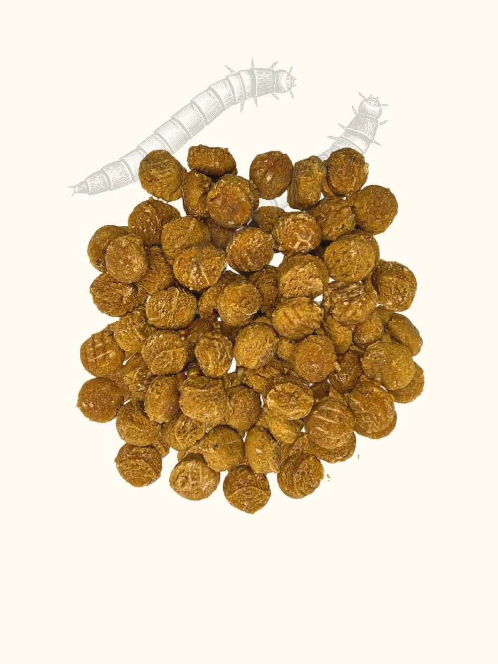 Friandises vers de farine