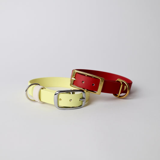 Collier pour chien personnalisable en Biothane