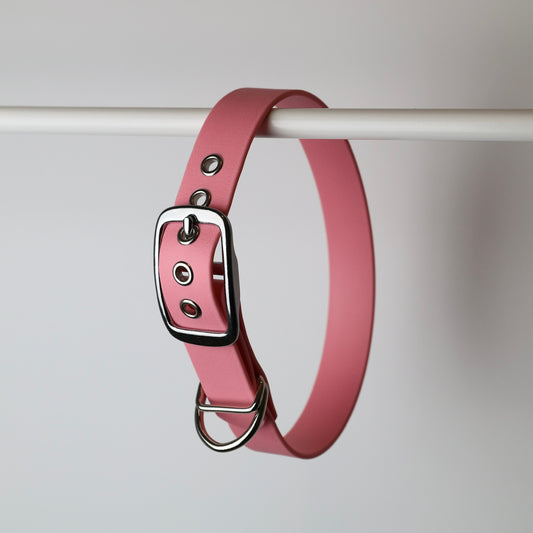 Collier pour chien personnalisable en Biothane