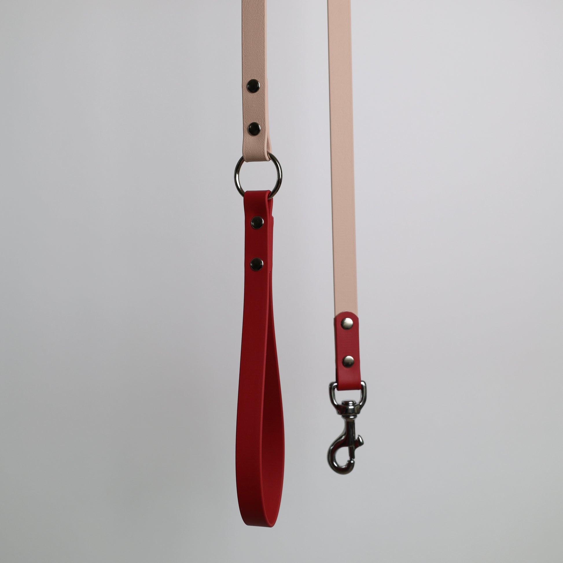 Laisse bicolore pour chien personnalisable en BioThane