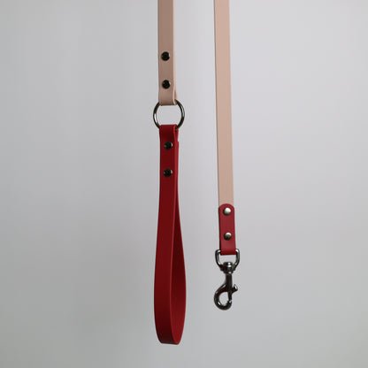 Laisse bicolore pour chien personnalisable en BioThane