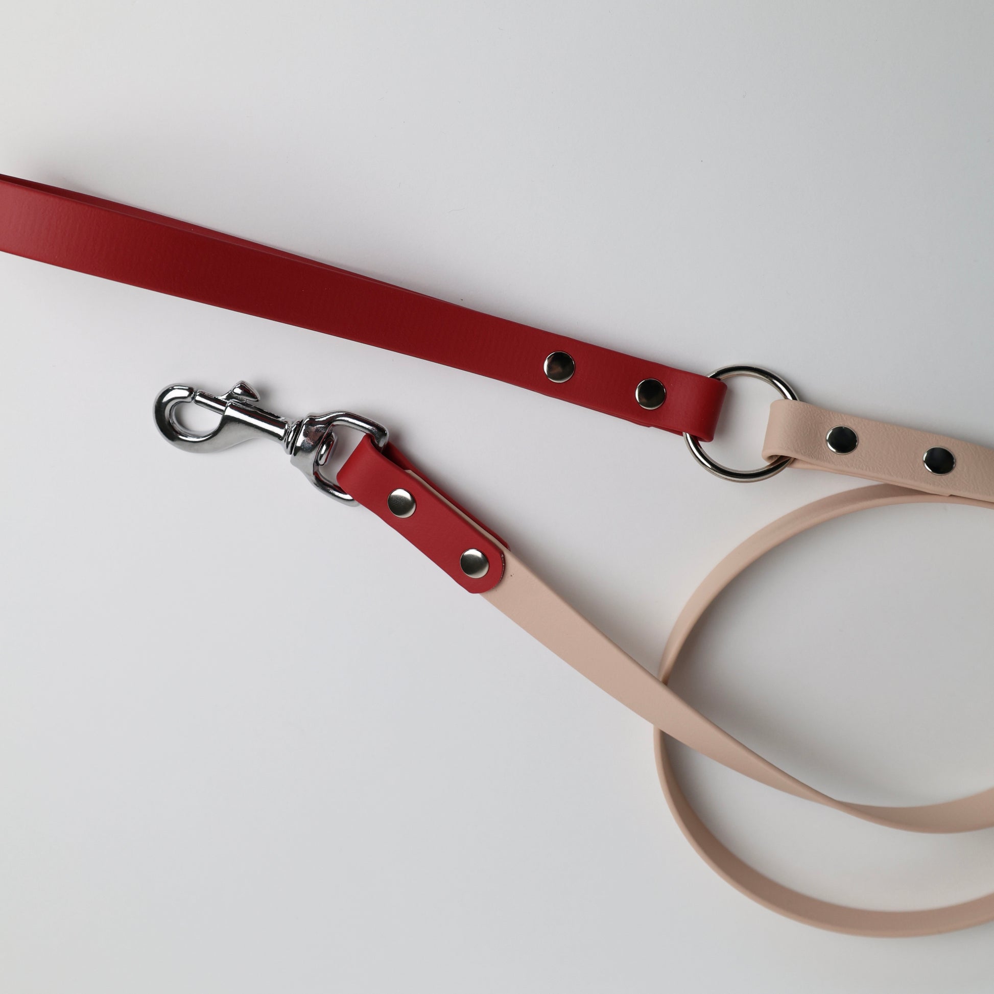 Laisse bicolore pour chien personnalisable en Biothane