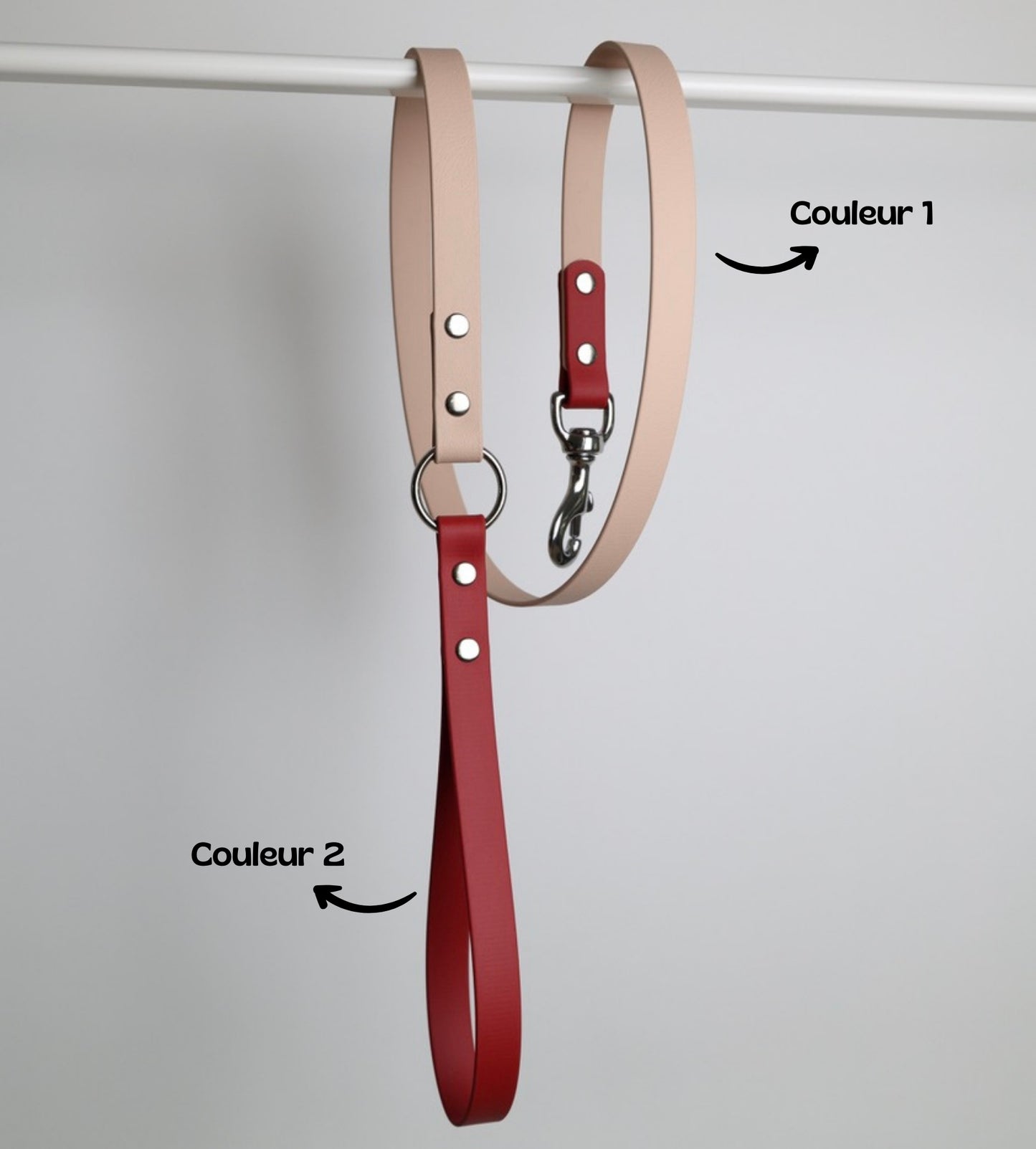 Laisse bicolore pour chien personnalisable en Biothane