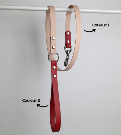 Laisse bicolore pour chien personnalisable en Biothane