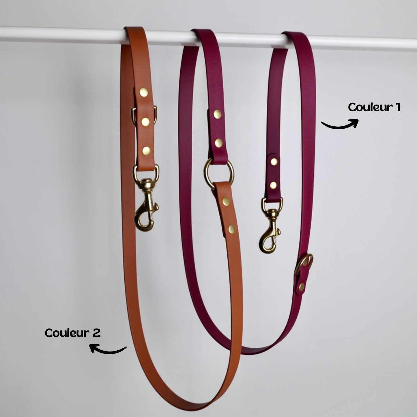 Laisse multiposition bicolore pour chien personnalisable en Biothane