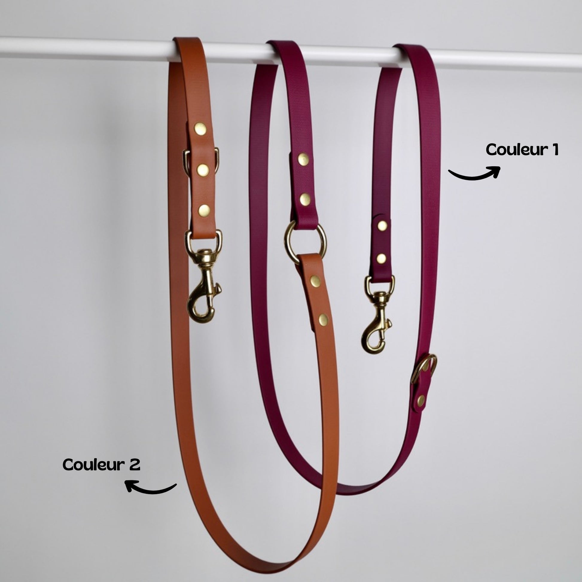 Laisse multiposition bicolore pour chien personnalisable en Biothane