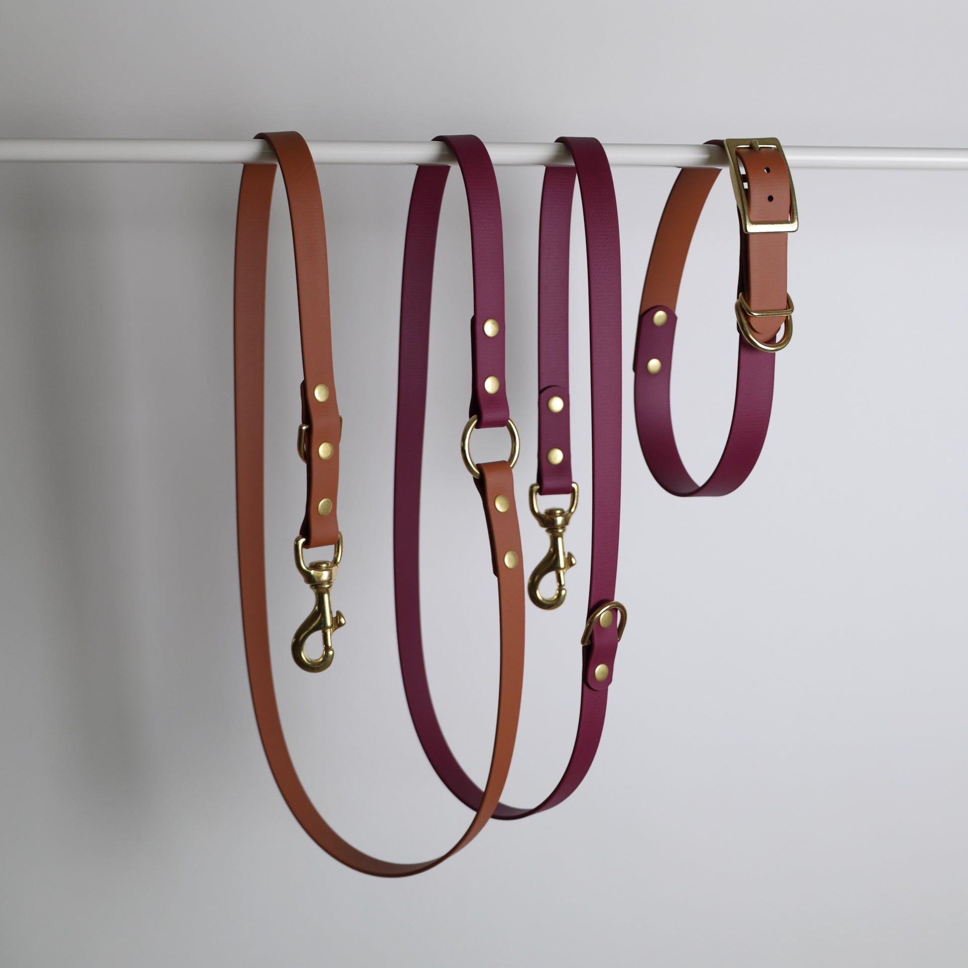 Laisse multiposition bicolore pour chien personnalisable en Biothane